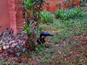 Des missions spéciales - Crédit photo izart.fr