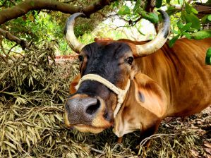 En pleine expansion de mes capacités - Crédit photo izart.fr