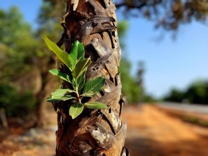 C'était ma vie d'avant - Crédit photo izart.fr